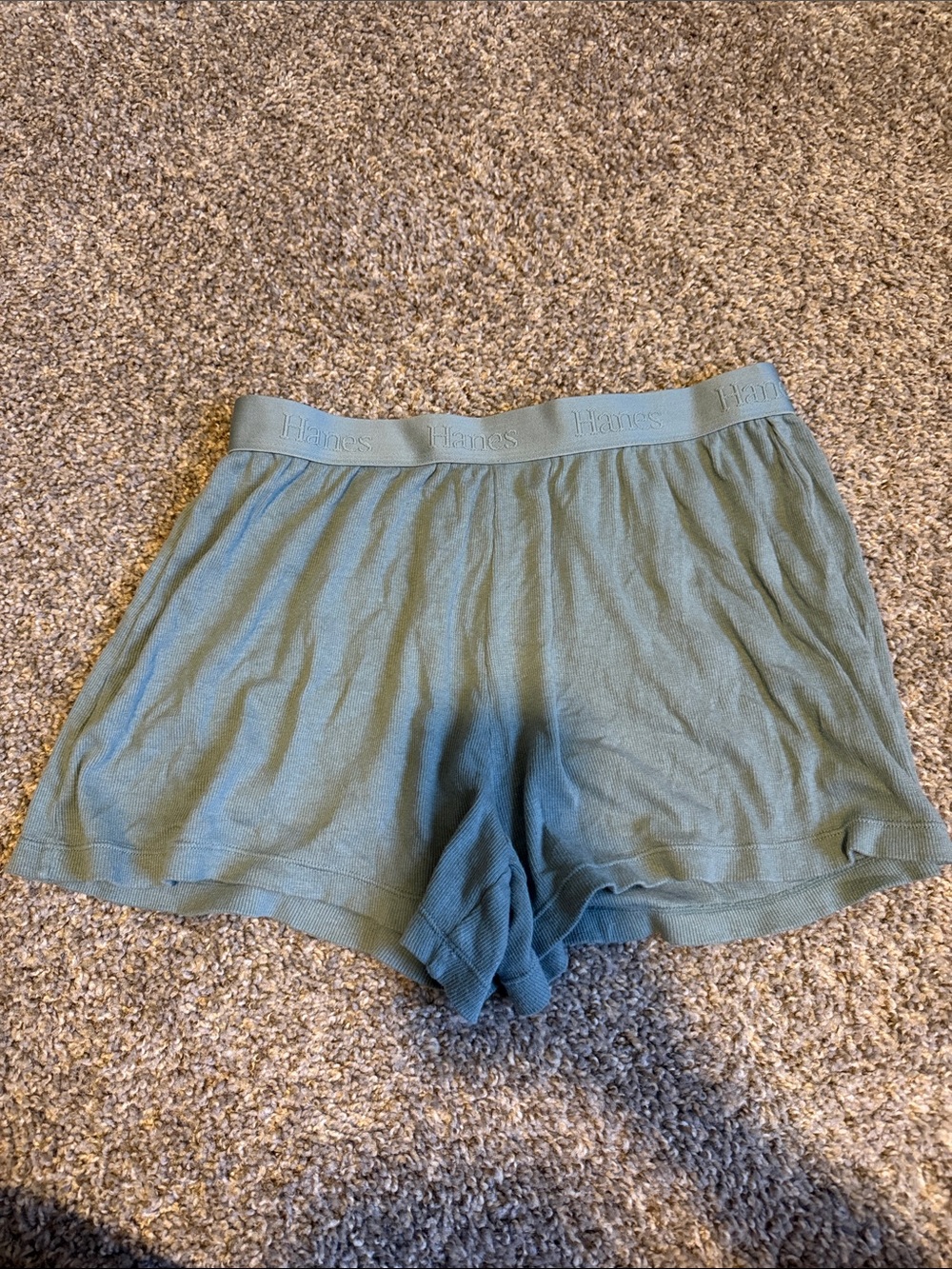 Hanes Women's Sage Green Sleep Shorts